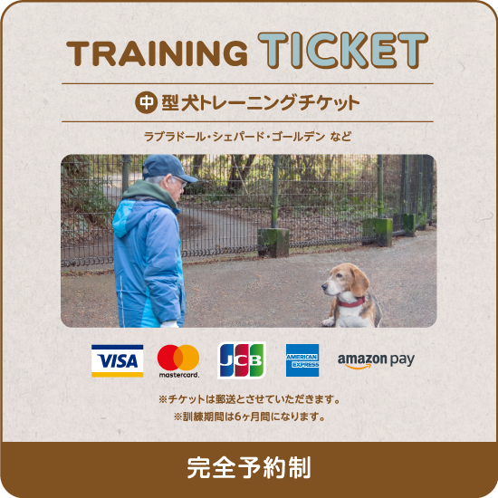 中型犬トレーニングチケット