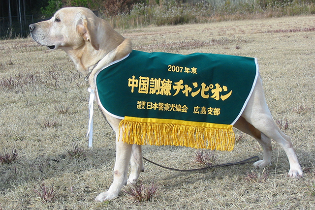 中国訓練チャンピオン