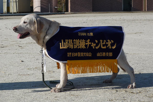 山陽訓練チャンピオン