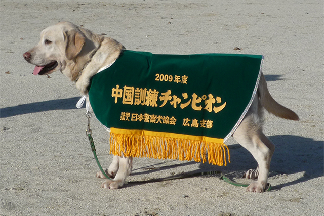 中国訓練チャンピオン